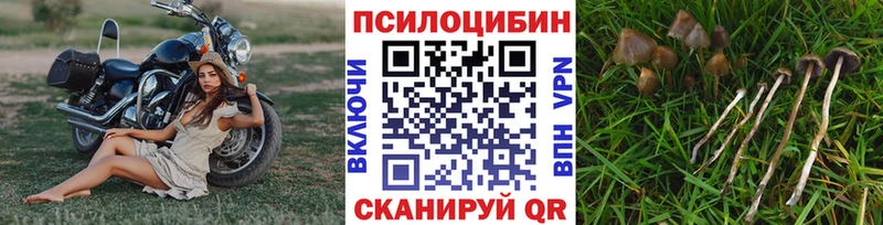 Галлюциногенные грибы GOLDEN TEACHER Южа